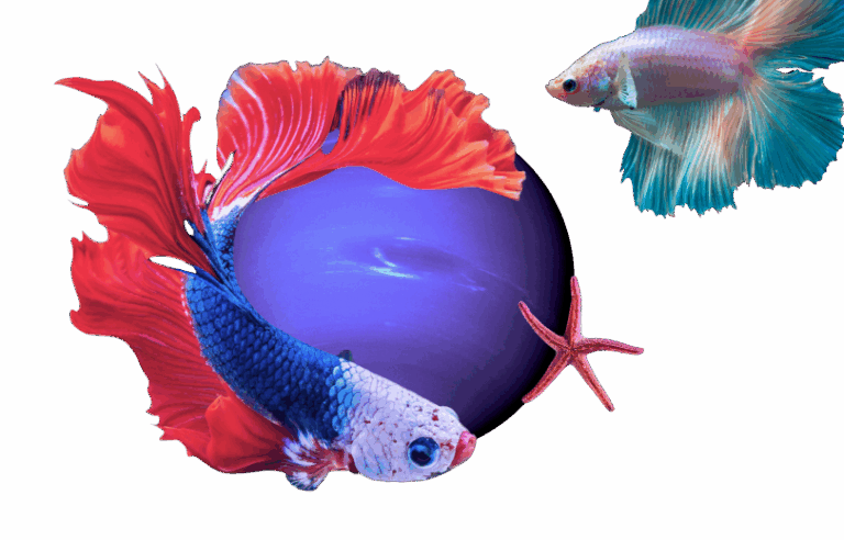 Episodio 1: Los 12 Signos del Zodíaco - Astrología para Principiantes