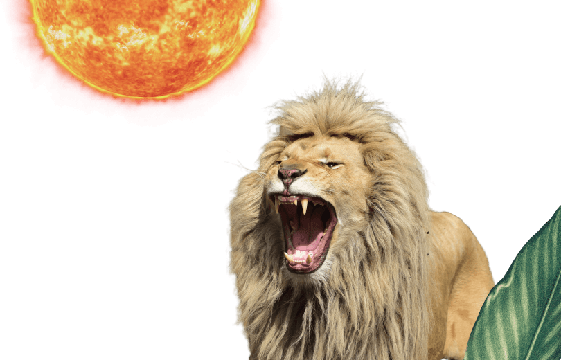 Episodio 2: El Sol en Astrología - Tu Identidad y Signo Solar